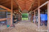 9137 Peterson Street - Photo 38