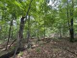 1734 Galbraith Road - Photo 30