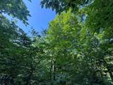 Lot #6 Bellinger Road - Photo 16