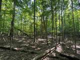 Lot #6 Bellinger Road - Photo 28