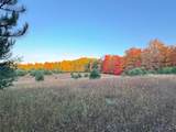 Lot #6 Bellinger Road - Photo 38