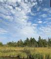 Parcels A & B Schuss Mountain Road - Photo 43