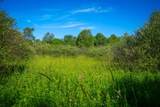 V/L 40A 168th Avenue - Photo 24