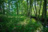 V/L 40A 168th Avenue - Photo 26