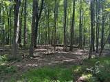 00 Lasher Road - Photo 6