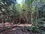 V/L 10A Bunker Hill Road - Photo 14