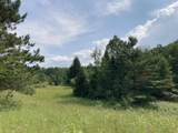 V/L-20A-M/L Mayhew Road - Photo 9