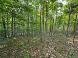 Lot #2 Bellinger Road - Photo 8