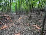 Lot #3 Bellinger Road - Photo 10