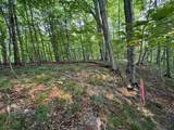 Lot #3 Bellinger Road - Photo 8