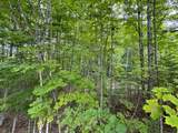 Lot 4 Old Mountain Road - Photo 11