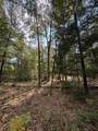 0 Shady Grove Drive - Photo 2