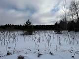VL Houghton Lake Road - Photo 2