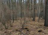 Lot 40 Squirrel Run - Photo 10