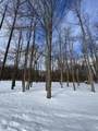 V/L Timberlane Drive - Photo 2