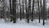 Lot 35 Wilderness Drive - Photo 5