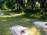 6697 Chaffey Creek Trail - Photo 29