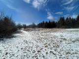 1712 Mt. Forest Road - Photo 6