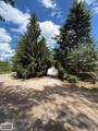 6651 Tamarack - Photo 4