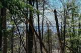 11255 Fort Road - Photo 2