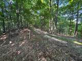 Lot #6 Bellinger Road - Photo 19