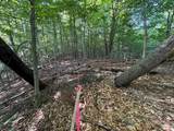 Lot #6 Bellinger Road - Photo 27