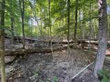 Lot #6 Bellinger Road - Photo 29