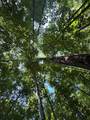Lot #6 Bellinger Road - Photo 33