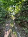 Lot #6 Bellinger Road - Photo 35