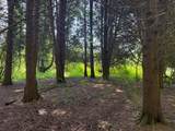 00 Lasher Road - Photo 12