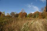 6864 Nature Lane - Photo 23