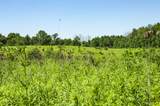 6864 Nature Lane - Photo 8