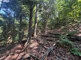 V/L 10A Bunker Hill Road - Photo 13
