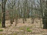 Lot E Big Sky Trail - Photo 29