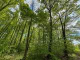 V/L Deer Lake Road - Photo 7