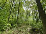 V/L Deer Lake Road - Photo 8