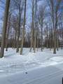 V/L Timberlane Drive - Photo 6