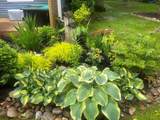 3718 Peninsular - Photo 37