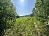 Lot #6 Bellinger Road - Photo 12
