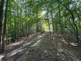 Lot #6 Bellinger Road - Photo 21