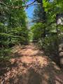 Lot #6 Bellinger Road - Photo 34