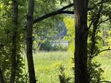 00 Lasher Road - Photo 4
