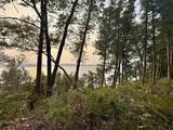 Lot 28 & 29 Lake Leelanau Drive - Photo 12