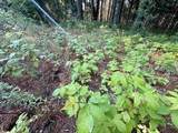 0015 Westview Drive - Photo 10