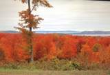 0000 Timber Wolf Court - Photo 4