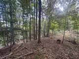 V/L 10A Bunker Hill Road - Photo 17