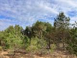 Parcel F-3 2 1/2 Road - Photo 10