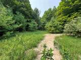 Lot #4 Bellinger Road - Photo 15