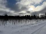 VL Houghton Lake Road - Photo 4