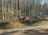 Lot 40 Squirrel Run - Photo 3